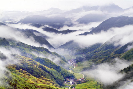 马斯克遭遇美联邦审查：一场科技巨头的监管风波